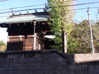 qV_3