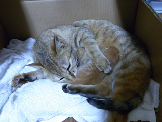 RIMG0014.JPG