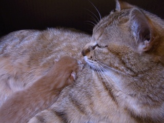 RIMG0045_640.JPG